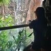 anita06140514